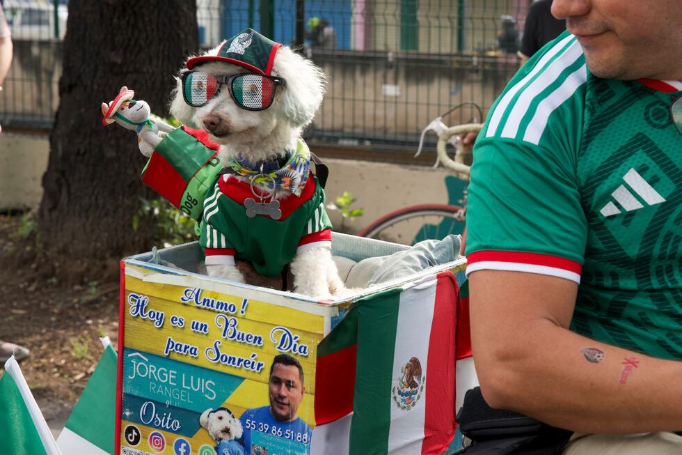 El perro "Osito" con una camiseta de la selección de México en el Mundial, el jueves 11 de...