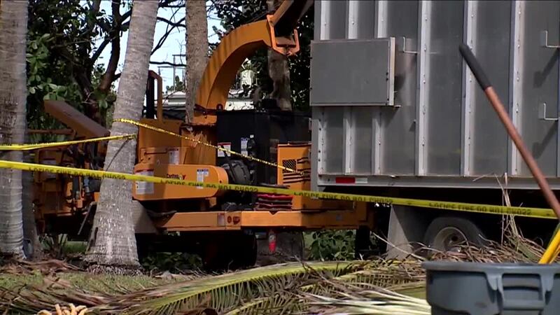 Muere podador de árboles tras ser arrastrado hacia trituradora de madera
