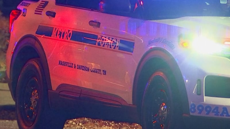 Generic MNPD vehicle (night)