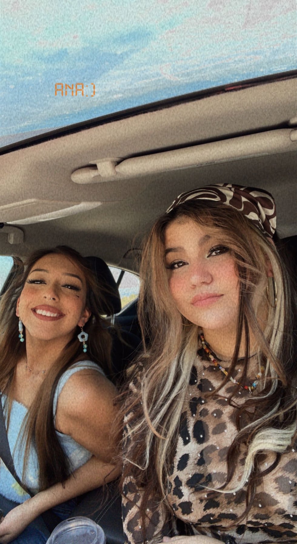 Alicia Bustos (left) and Analuisa Mendoza (right) were outside Canyon when they were hit by a...